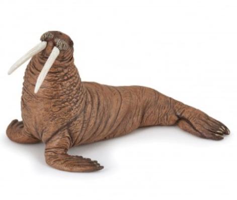 Walrus Papo Figure - 56030 - Image 1