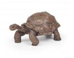 Galapagos Tortoise Papo Figure - 50161 - Image 1